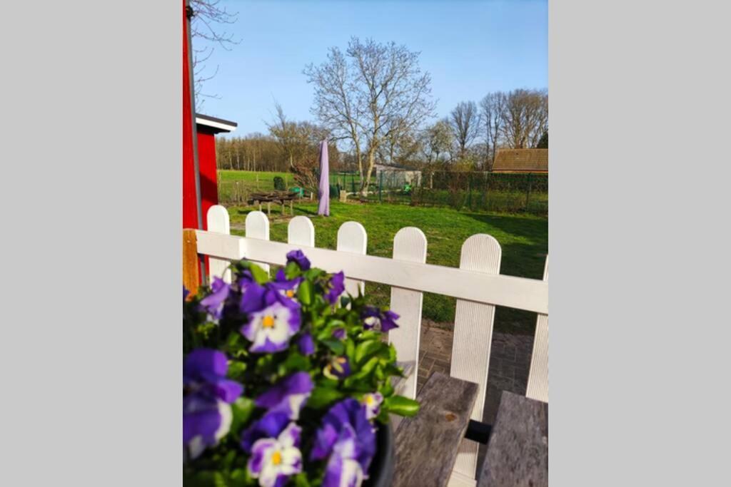 Scandinavië vlak bij huis Villa Laarne Buitenkant foto